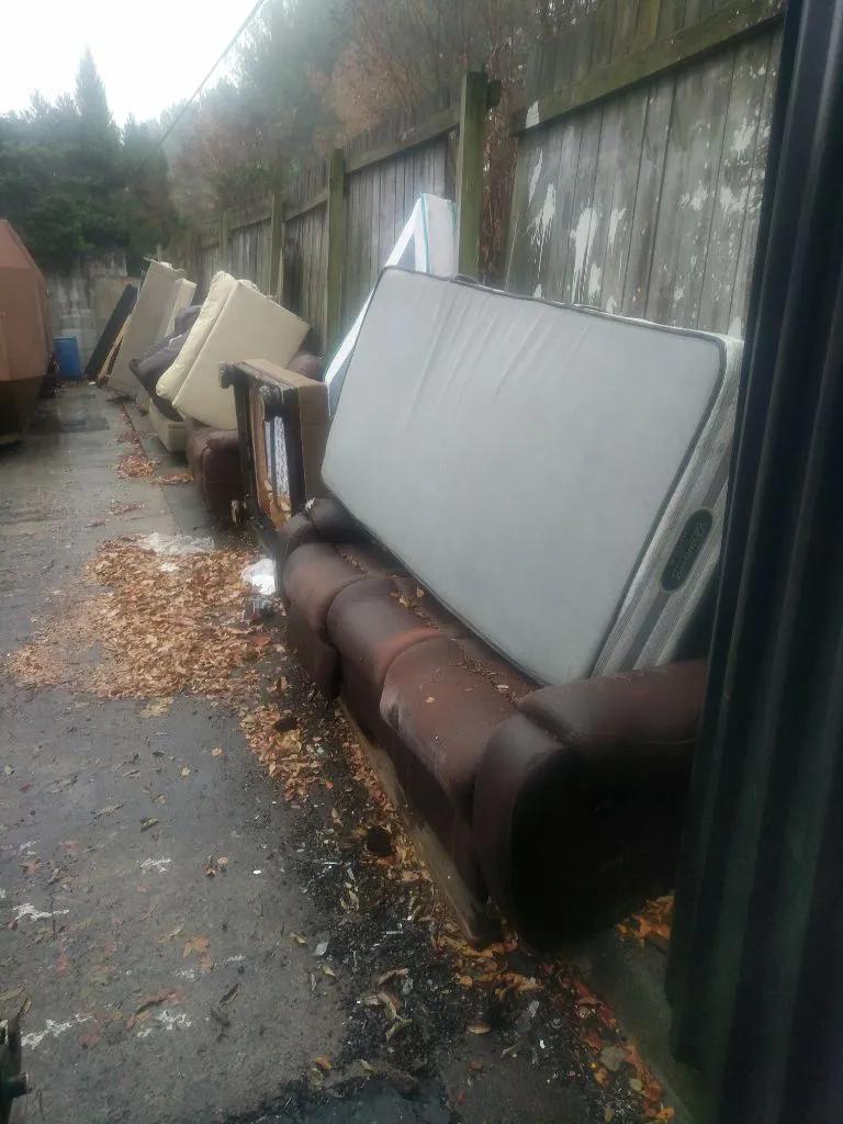 Junk removal job
