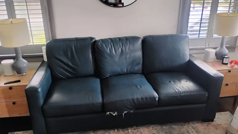 Couch and Rug Removal