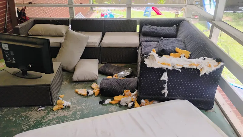 Double Couch Removal from Home in Brookhaven