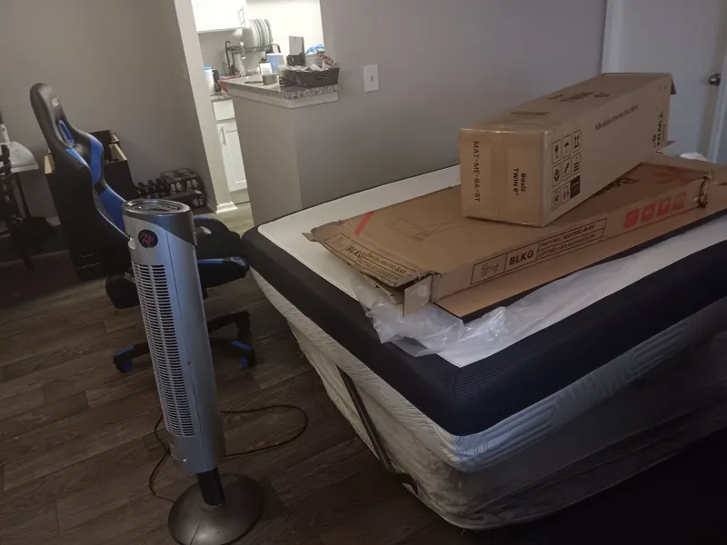 Junk removal job