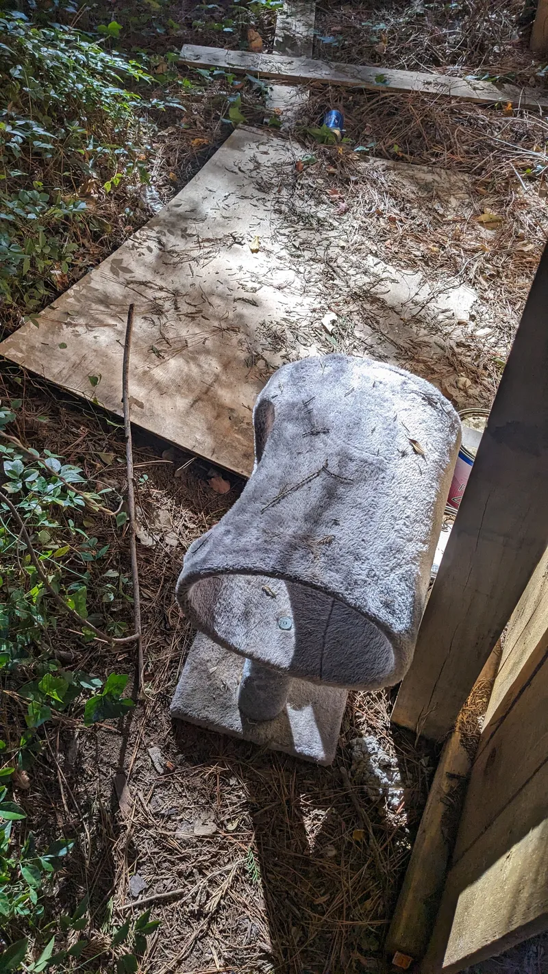 Junk removal job