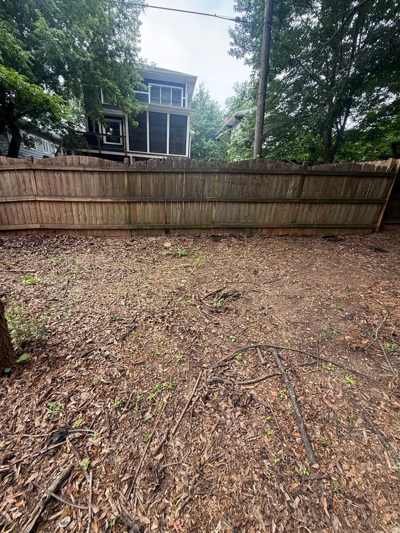 Backyard Clean Up