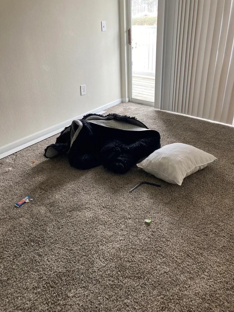 Junk removal job