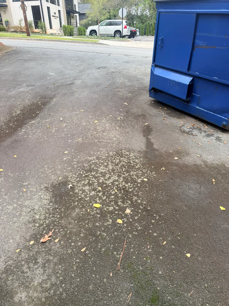 Dumpster Area Clean Up