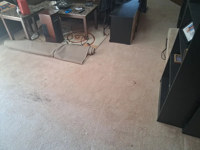 Bulk Item Basement Clear Out