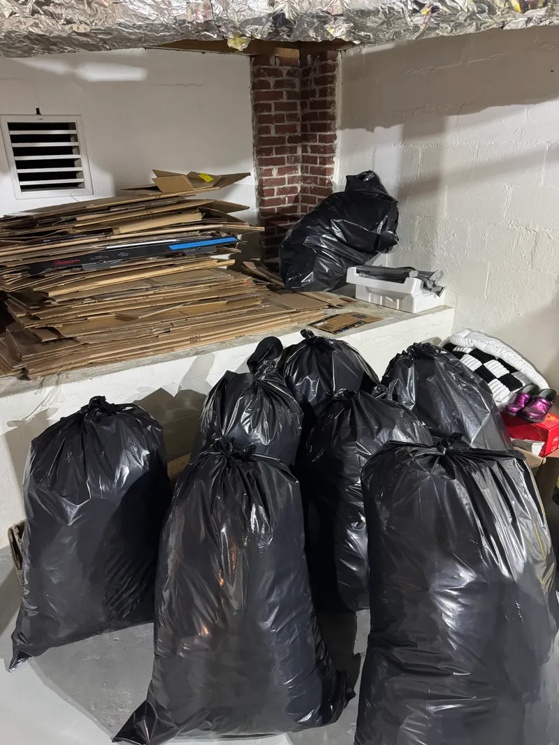 Cardboard and Carpet Clear Out