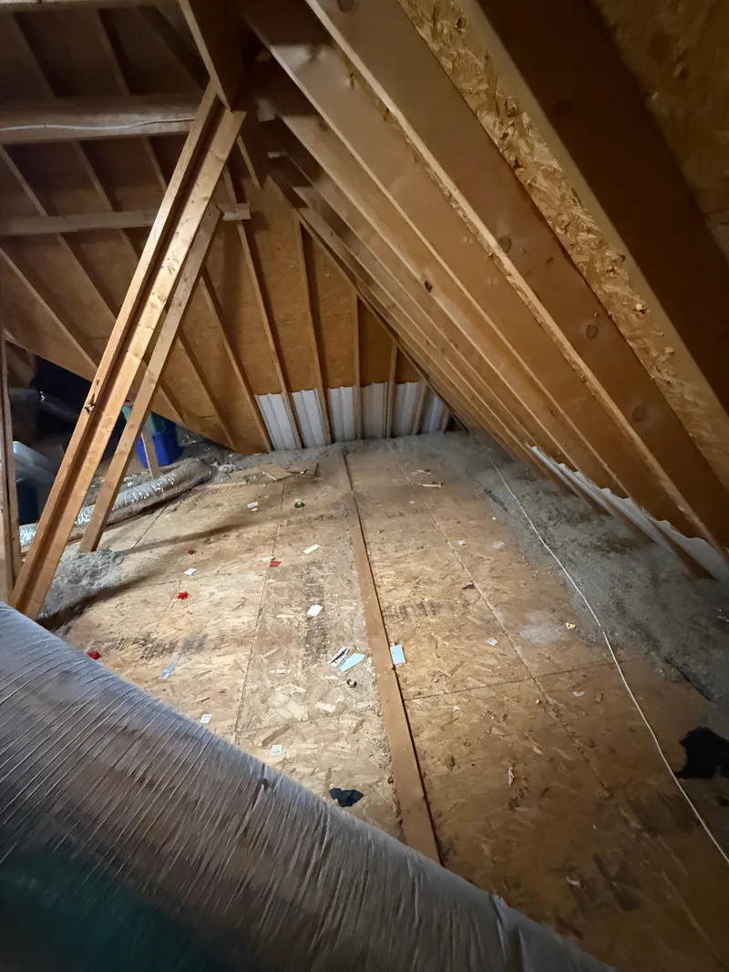 Junk removal job