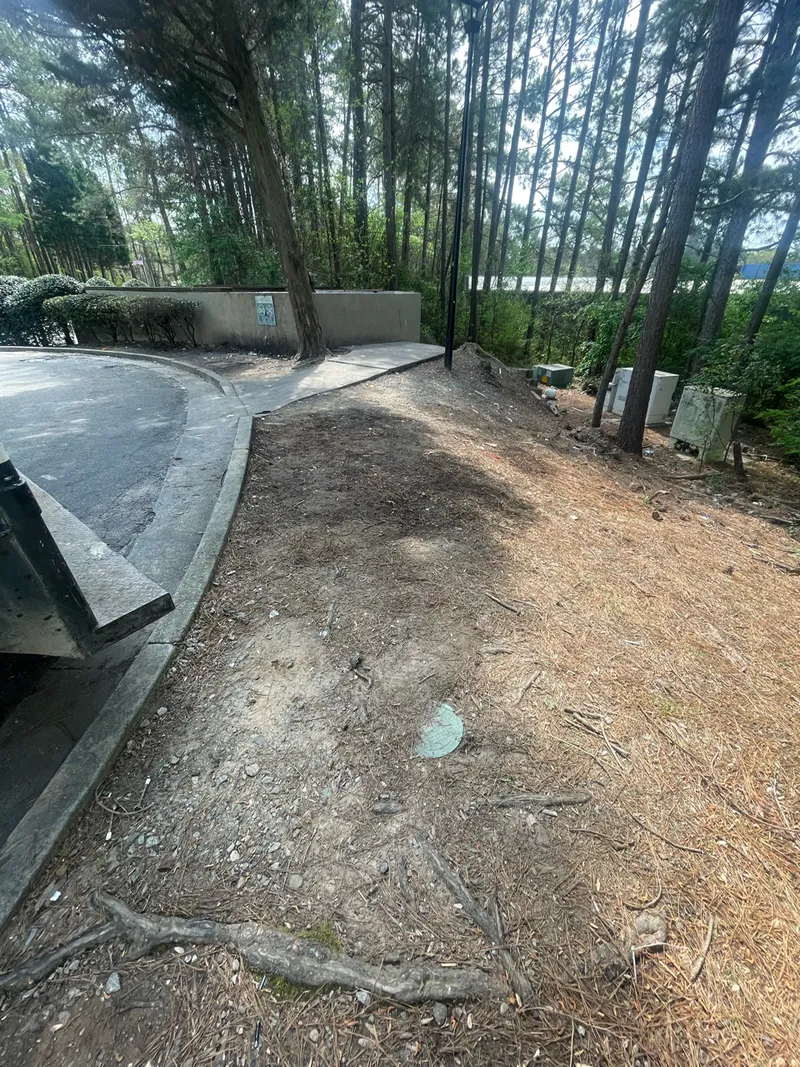 Junk removal job