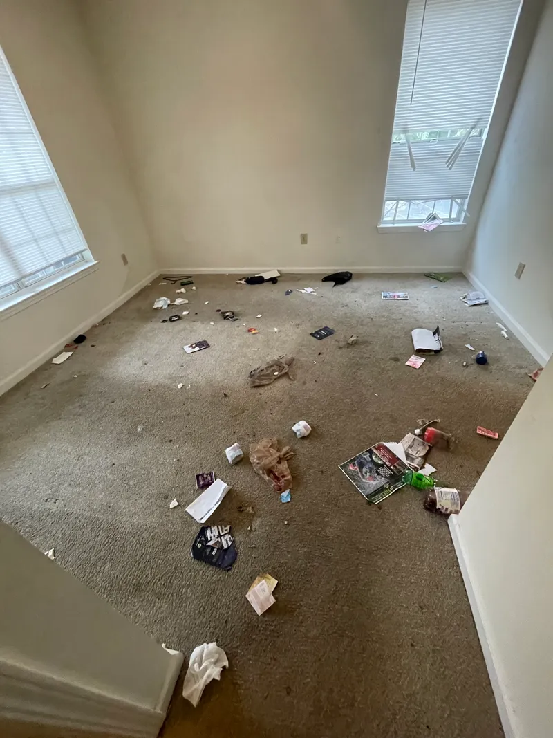 Junk removal job