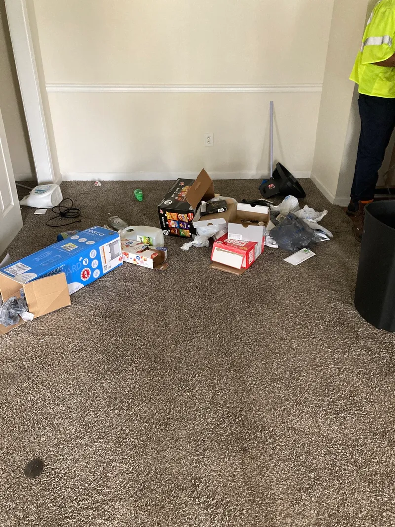 Junk removal job