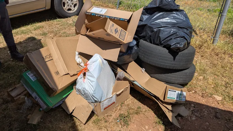 Dumpster Junk Clean Up