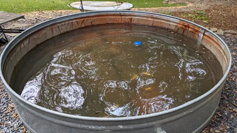 Large Tin Pool Removal