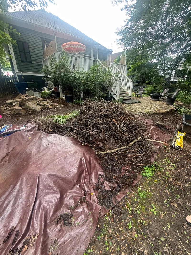 Backyard Junk Disposal