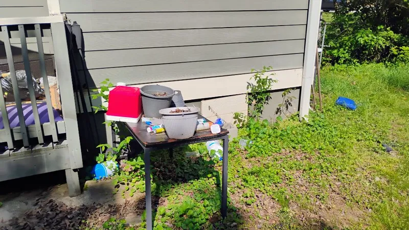 Property and Grounds Clean Up