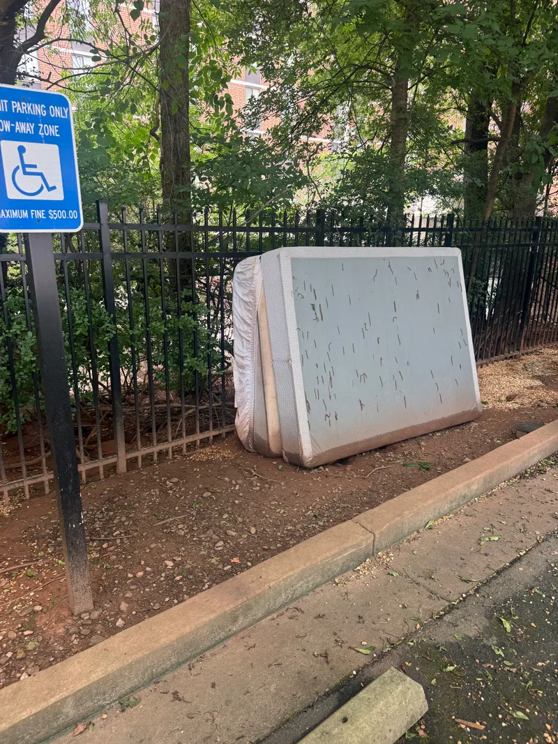 Mattress and Box Spring Removal